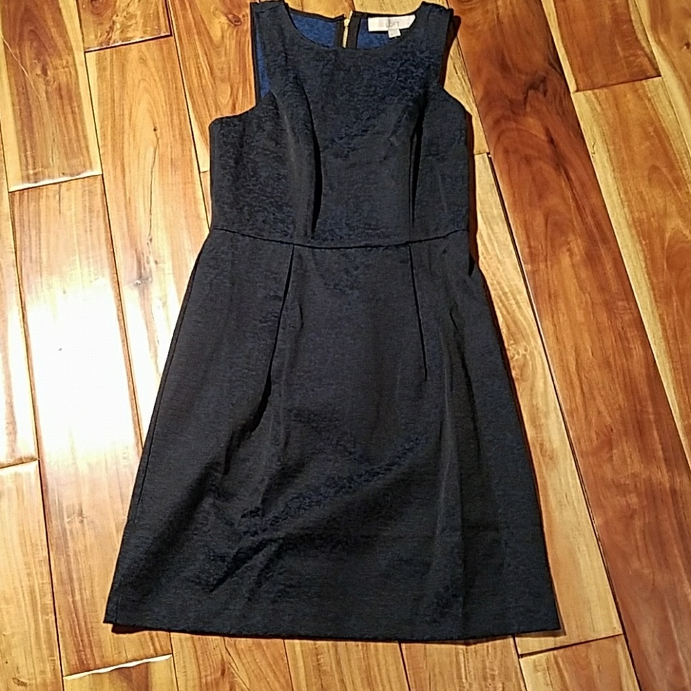 Loft Pleat front dress.